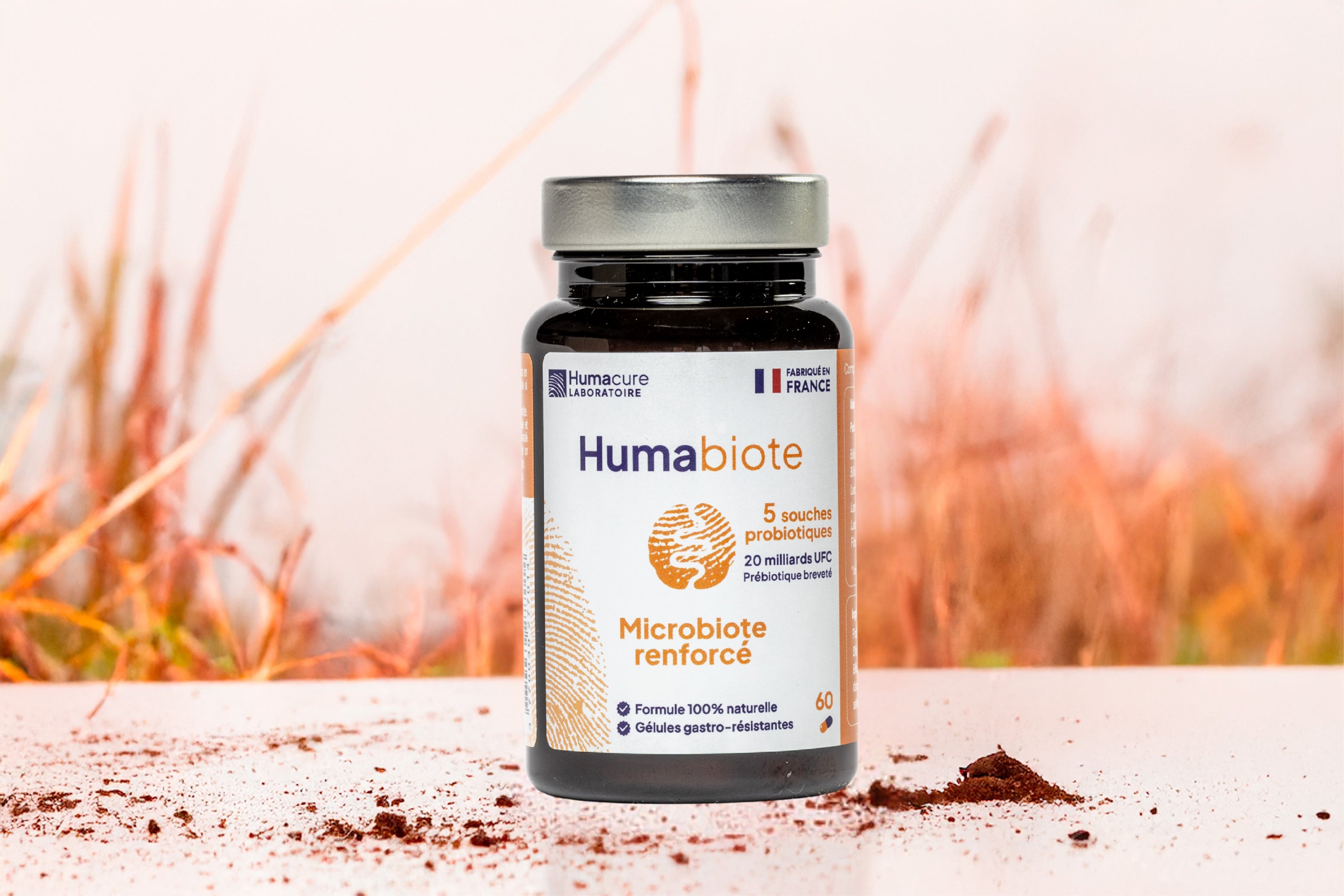 Complément alimentaires à base de probiotiques, 100% naturelle, pour l'équilibre du microbiote intestinal (axe intestin-cerveau)